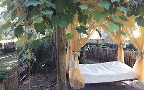 Espaço Holístico Chalés